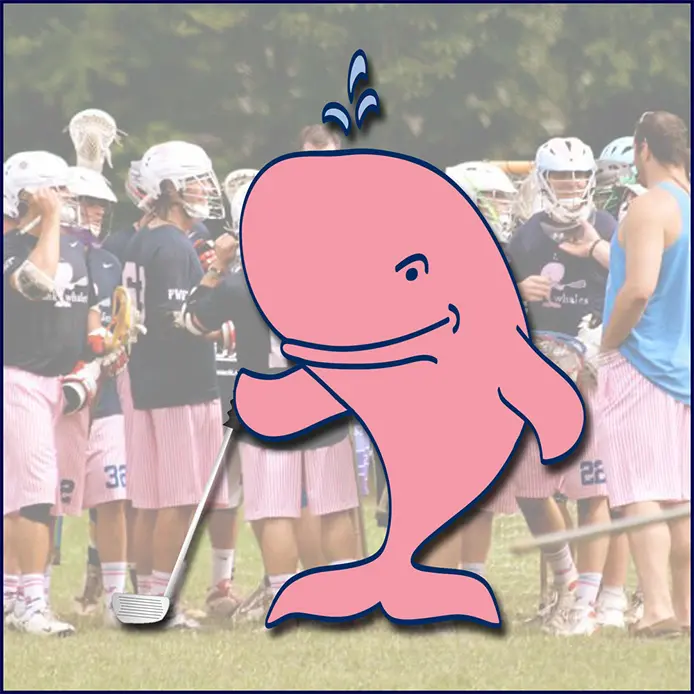 pink-whale-foundation